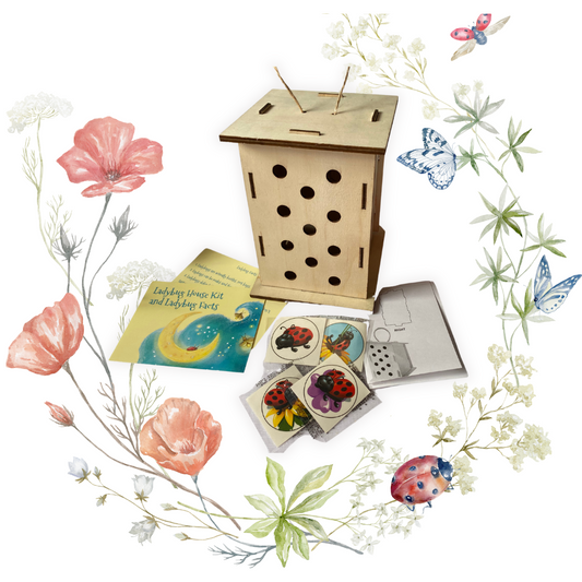 Ladybug House Kit