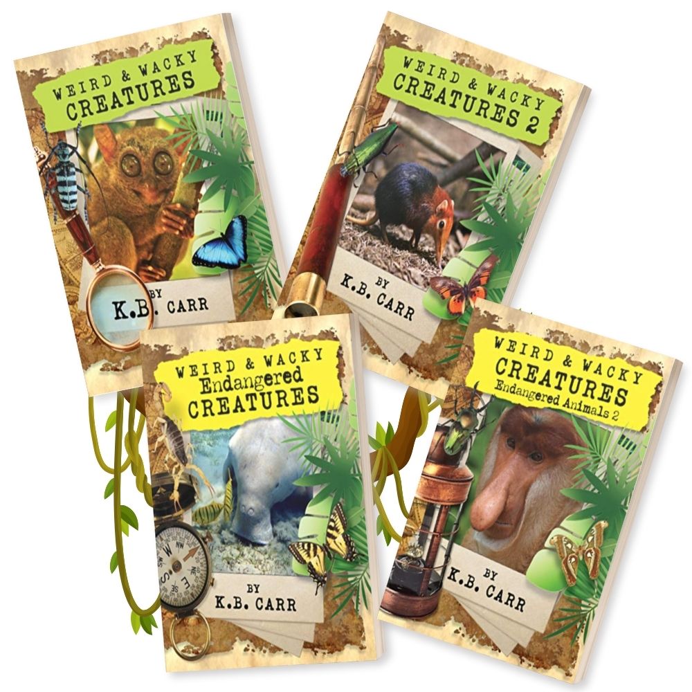 Weird & Wacky Creatures 4 Print Book Bundle