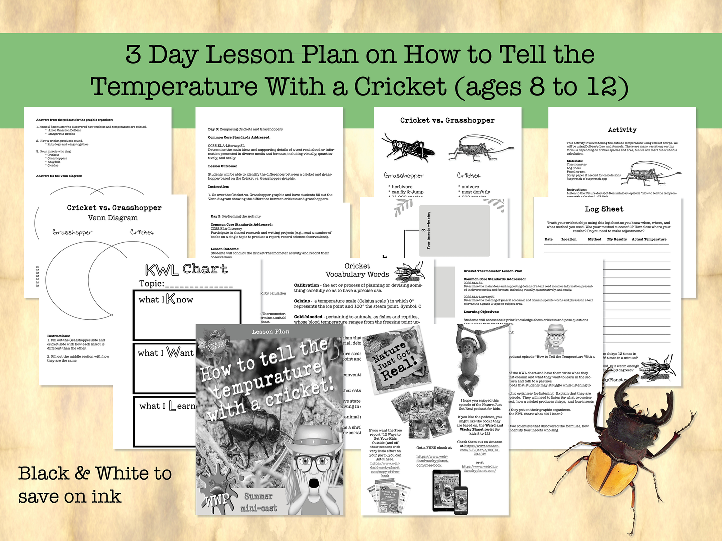 How to Tell the Temperature With a Cricket!