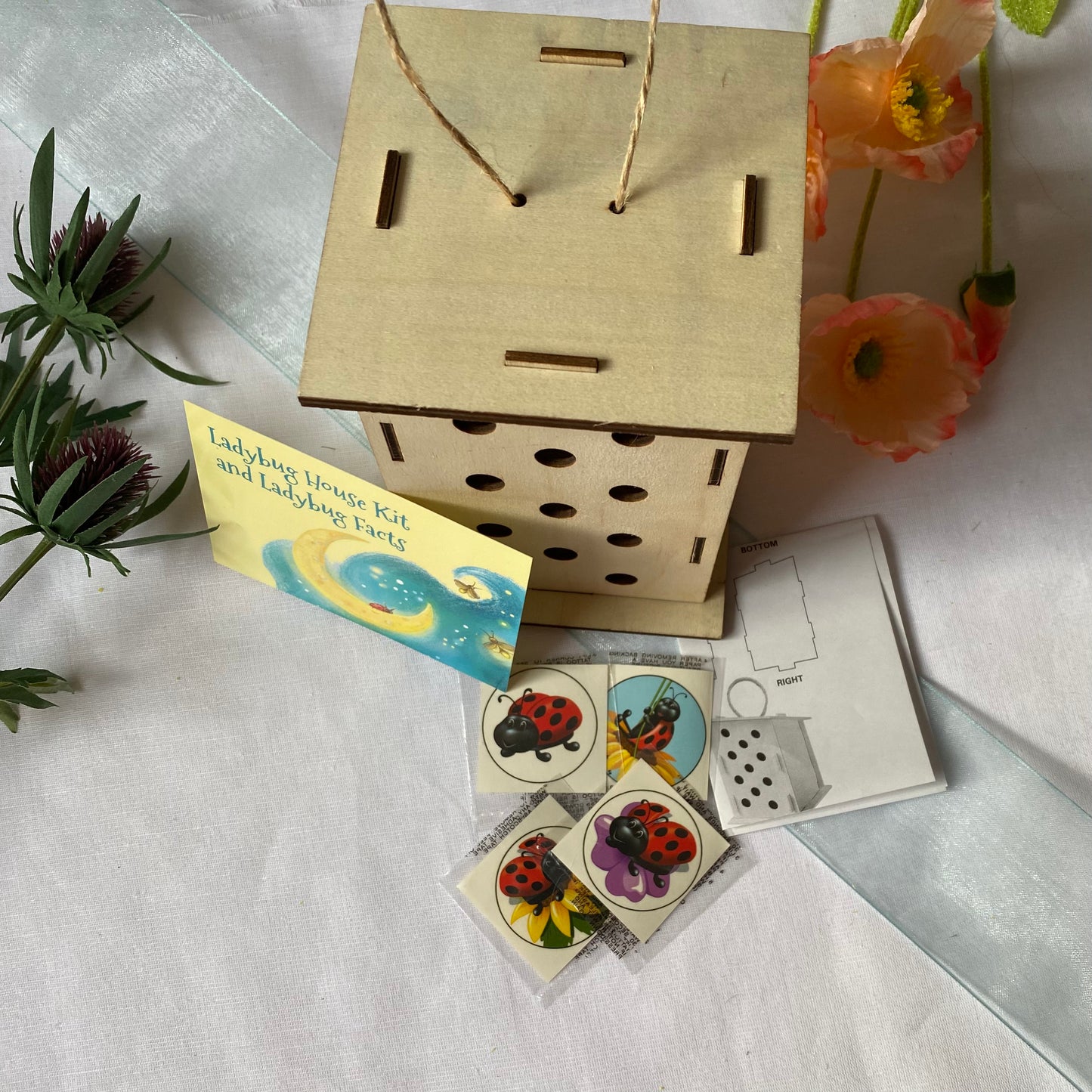 Ladybug House Kit