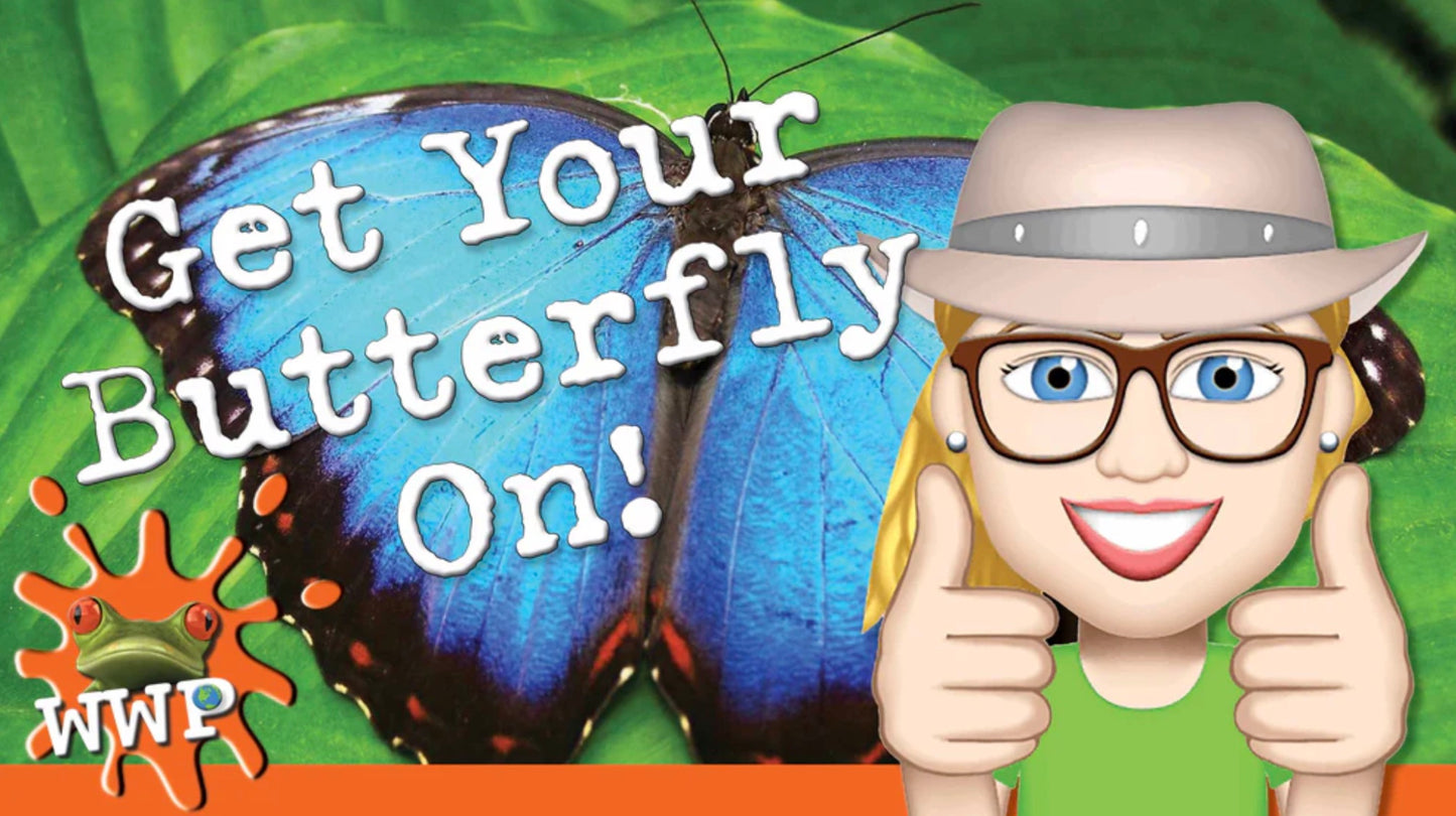 Get Your Butterfly On!