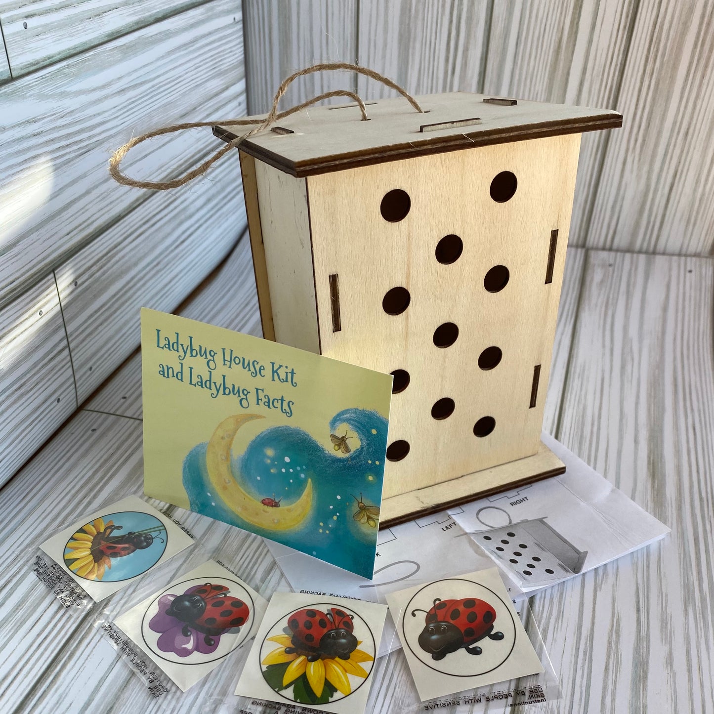 Ladybug House Kit